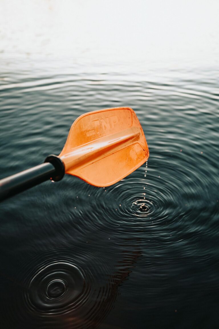 ocoee river paddle